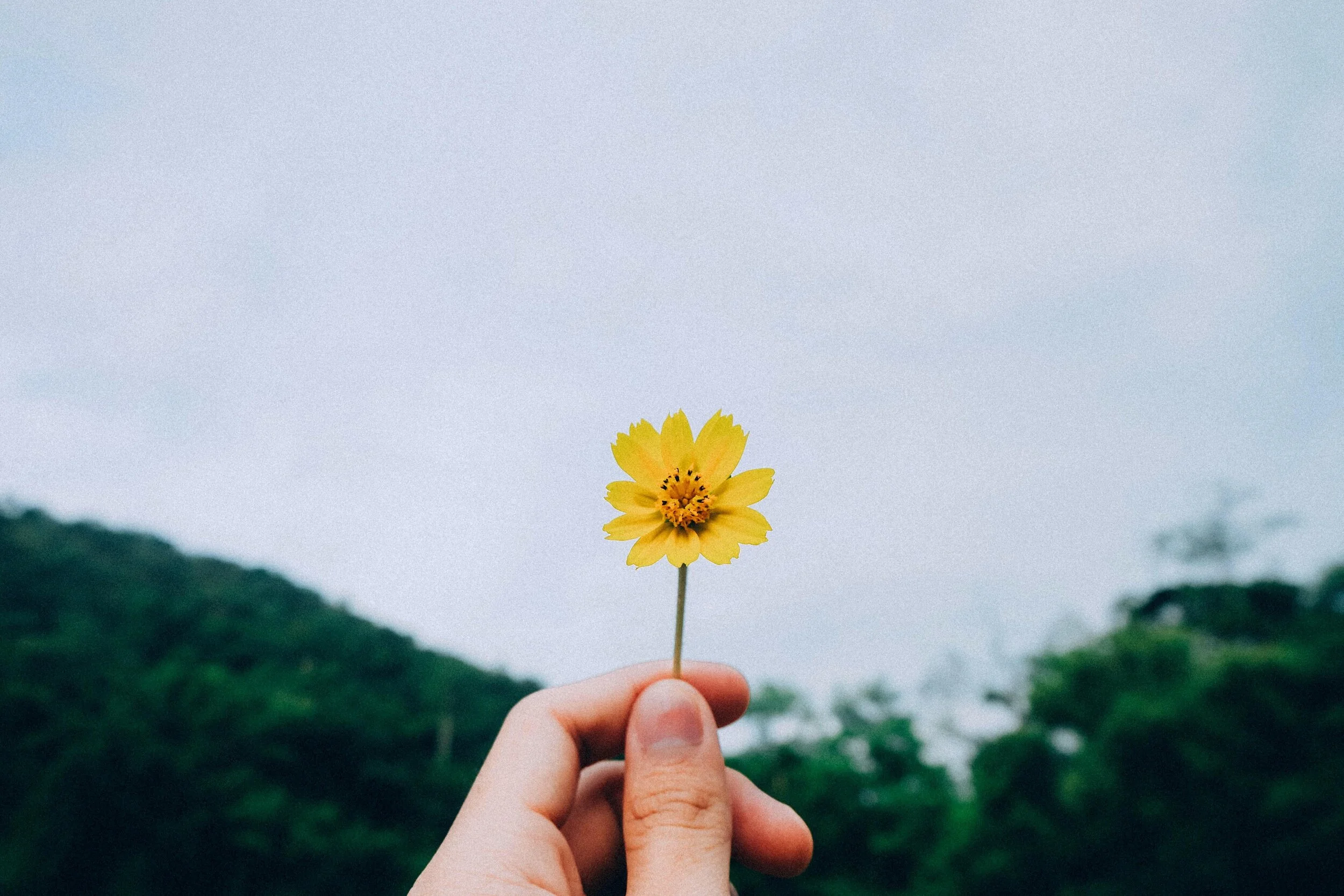Featured image for article: Finding Happiness When Things Don't Go As Planned by Jeremiah Krakowski