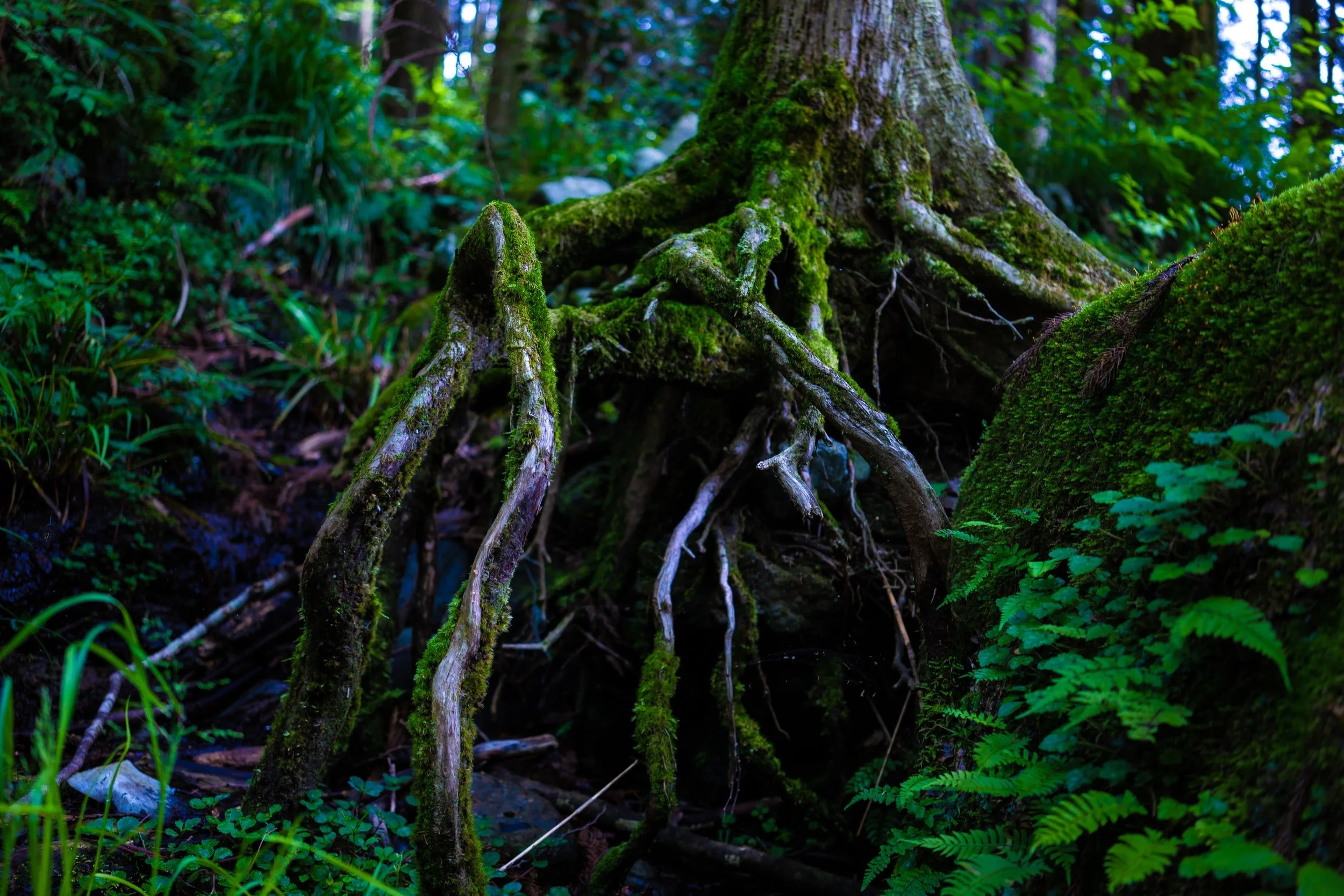 unsplash image kmtfOtHb3FQ - How Do I Overcome Perfectionism?